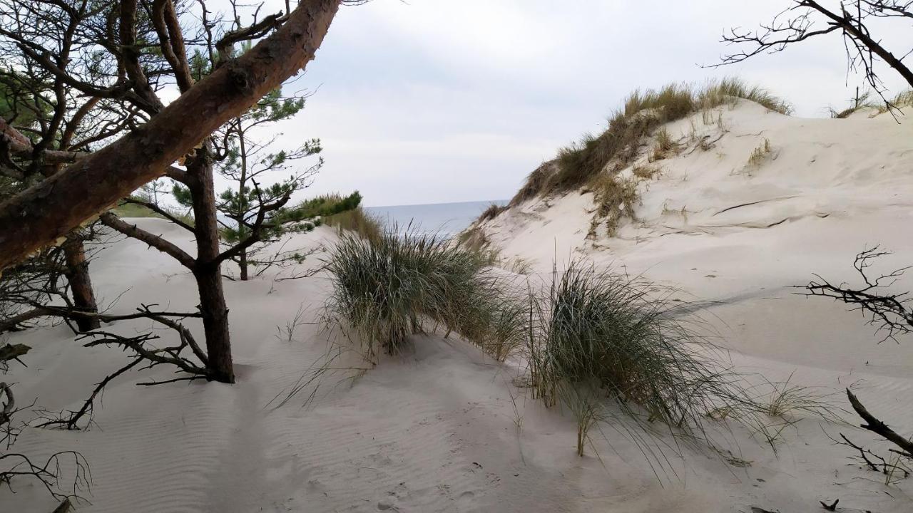 Slowinskie Widoki Domki Flora, Fauna, Noclegi Smoldzinski Las Exterior photo