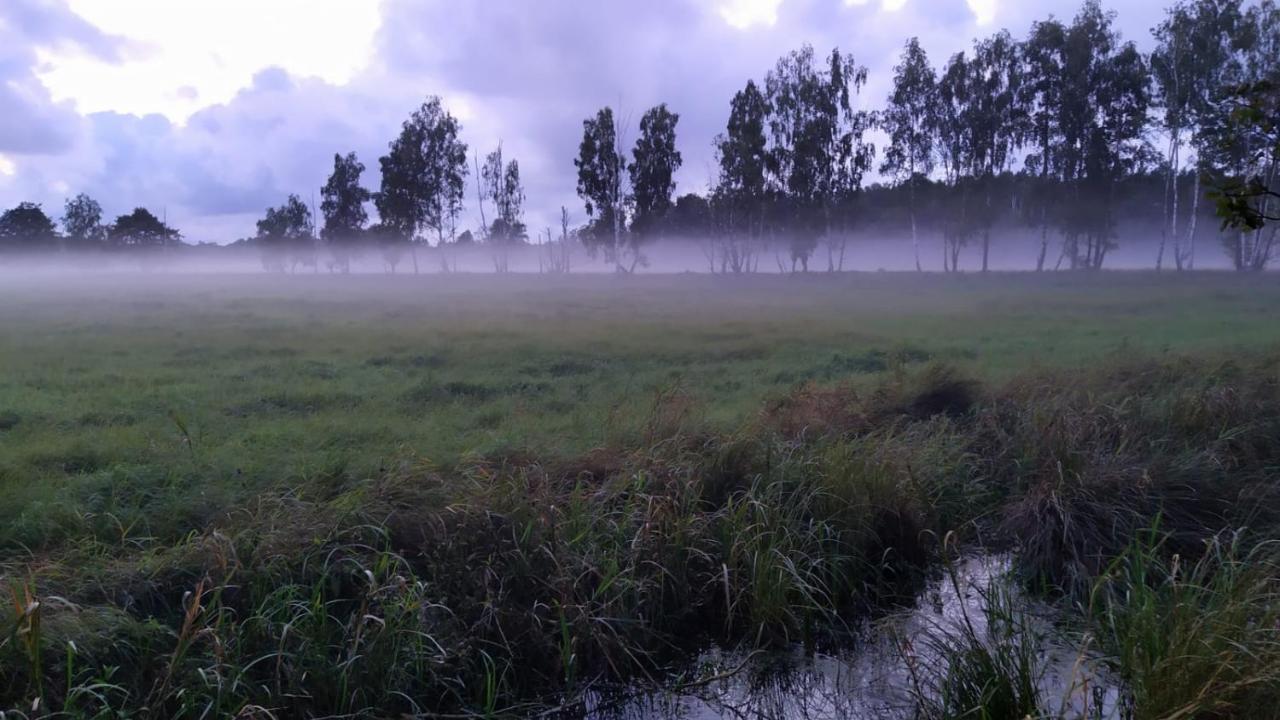 Slowinskie Widoki Domki Flora, Fauna, Noclegi Smoldzinski Las Exterior photo