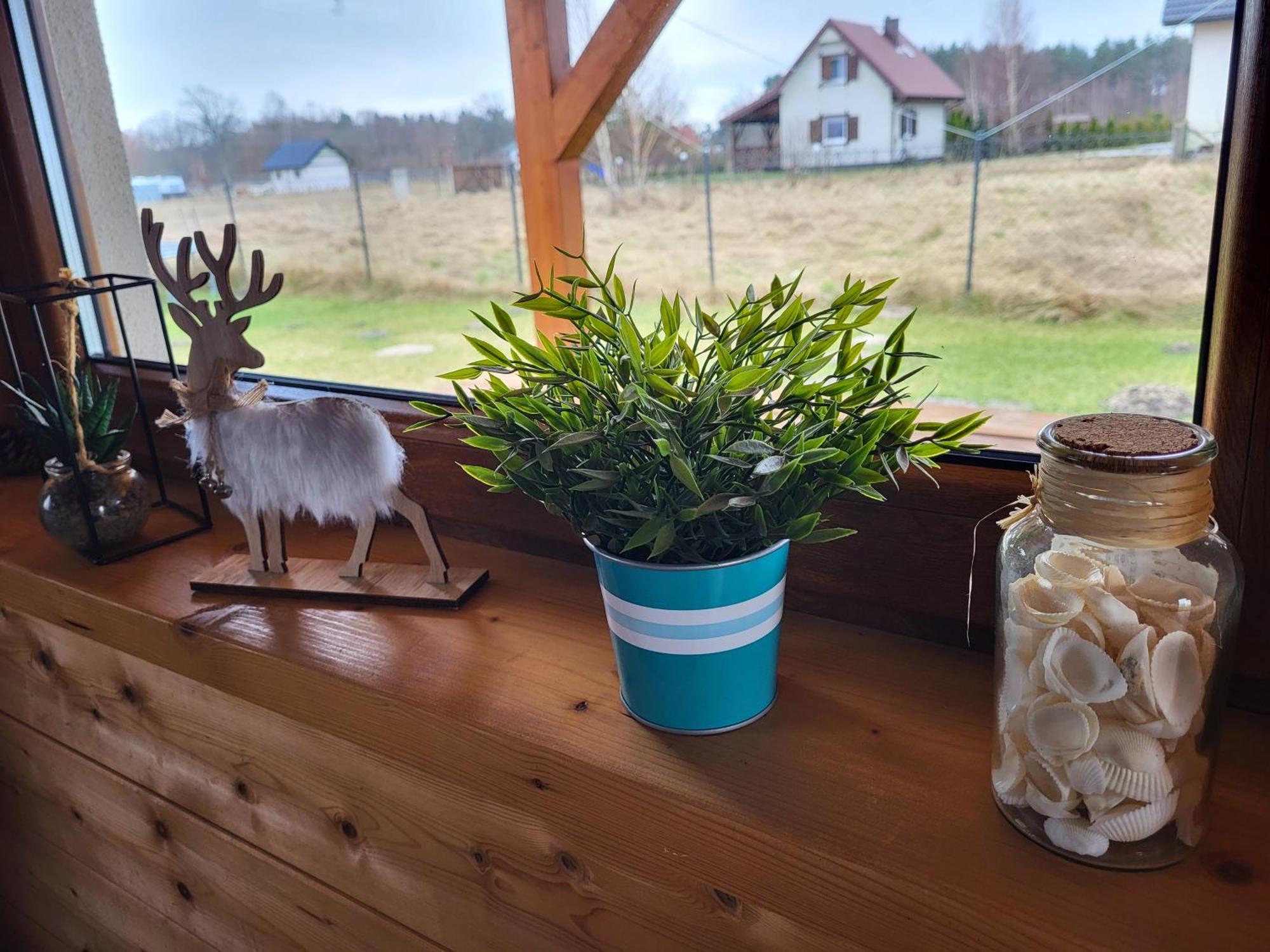 Slowinskie Widoki Domki Flora, Fauna, Noclegi Smoldzinski Las Exterior photo